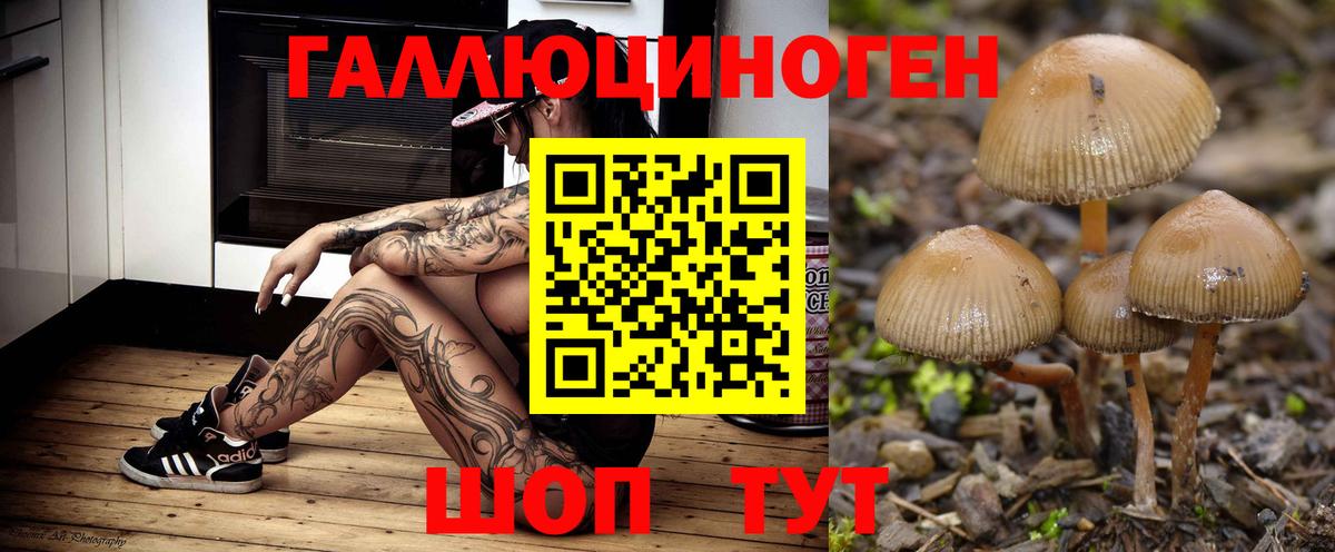 Псилоцибиновые грибы мухоморы Междуреченск