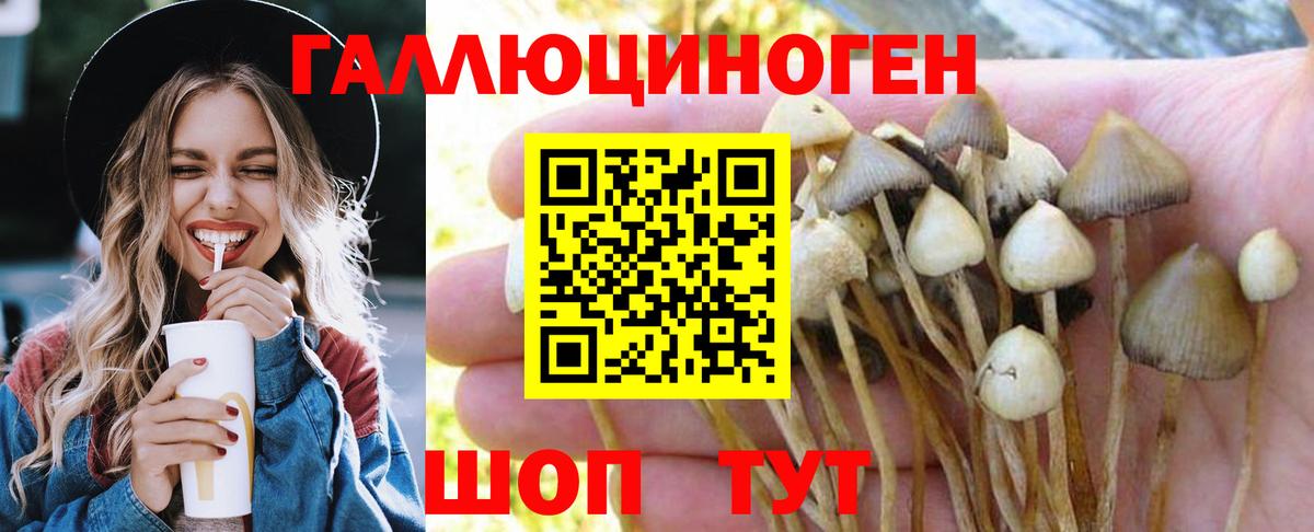 Галлюциногенные грибы Psilocybine cubensis  Галлюциногенные грибы ЛСД  Междуреченск  Вход с VPN 